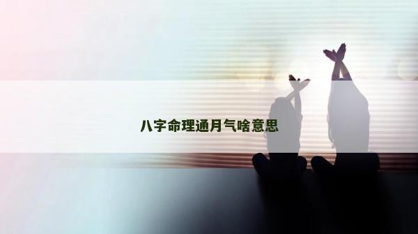 八字命理通月气啥意思
