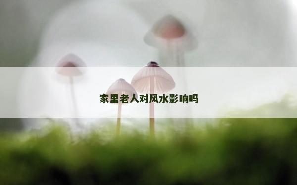 家里老人对风水影响吗