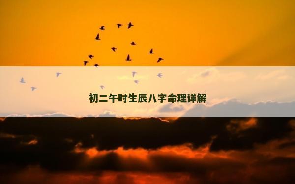 初二午时生辰八字命理详解