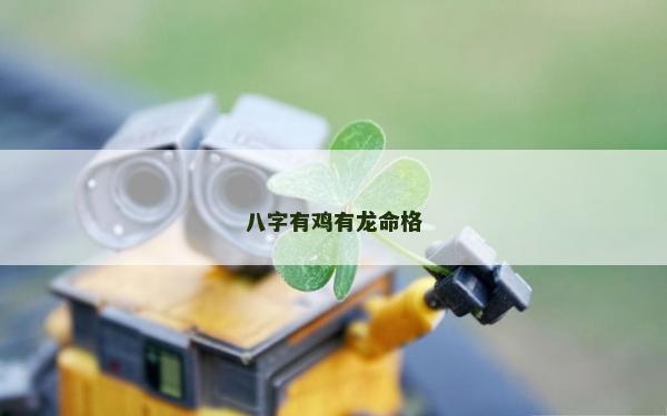 八字有鸡有龙命格