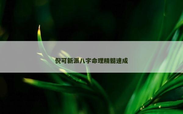 倪可新派八字命理精髓速成