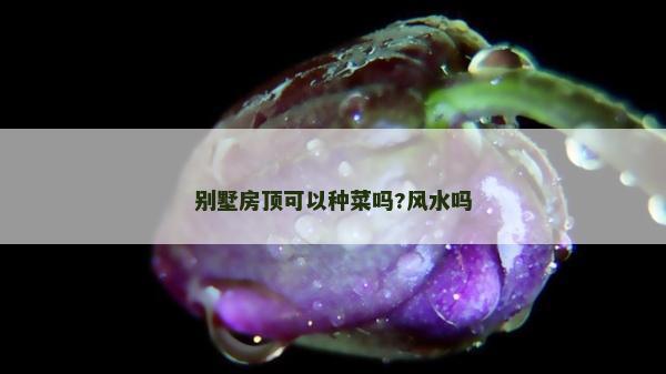 别墅房顶可以种菜吗?风水吗