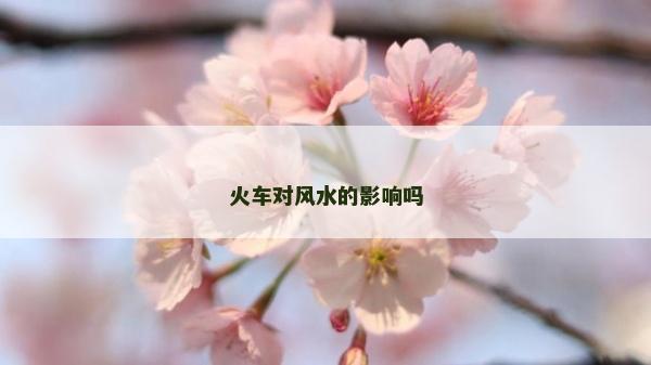 火车对风水的影响吗