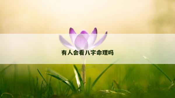 有人会看八字命理吗