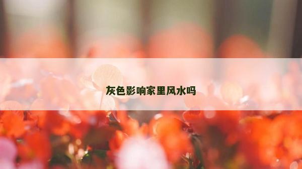 灰色影响家里风水吗