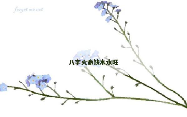八字火命缺木水旺