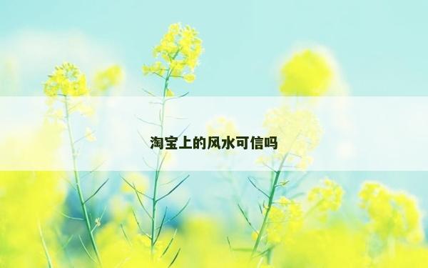 淘宝上的风水可信吗