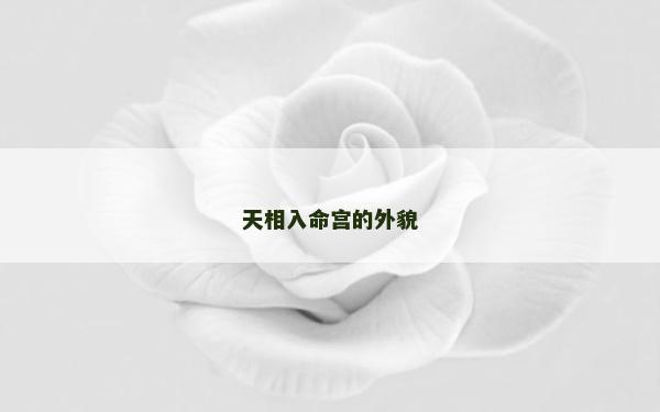 天相入命宫的外貌