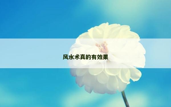 风水术真的有效果