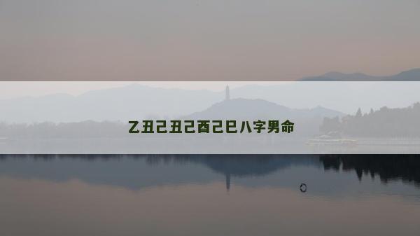 乙丑己丑己酉己巳八字男命