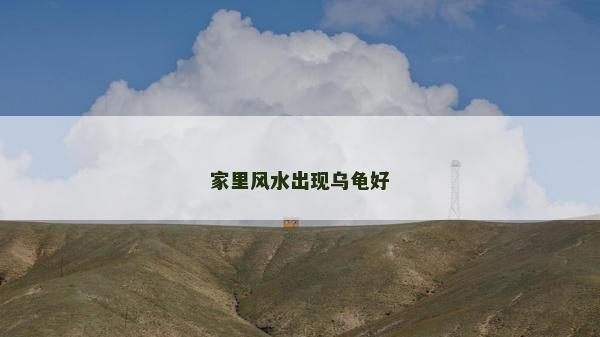 家里风水出现乌龟好