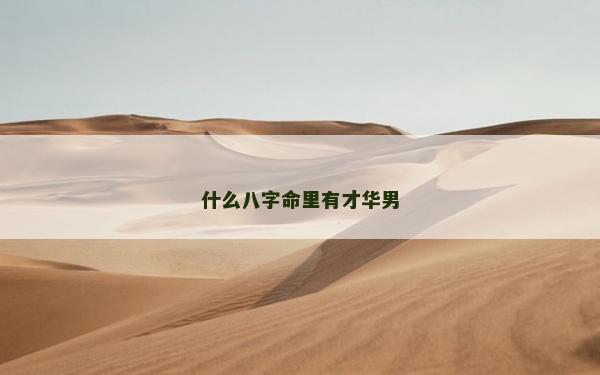 什么八字命里有才华男