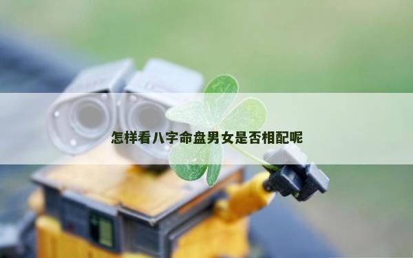 怎样看八字命盘男女是否相配呢