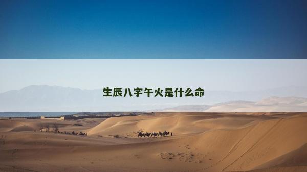 生辰八字午火是什么命