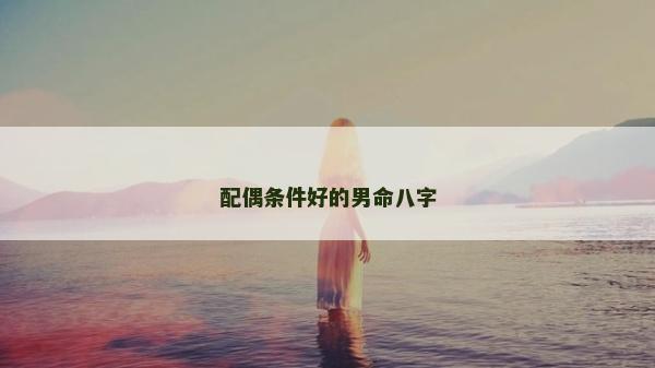 配偶条件好的男命八字