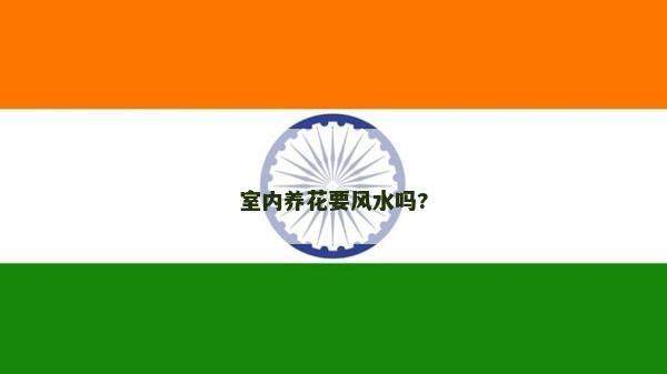 室内养花要风水吗?