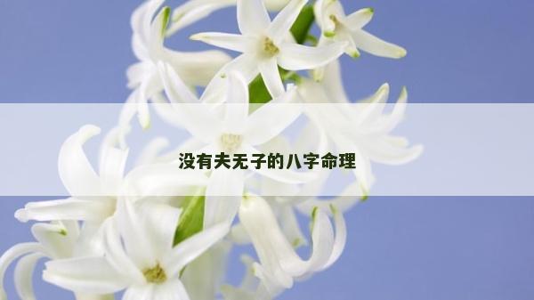 没有夫无子的八字命理