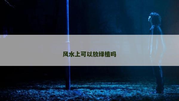 风水上可以放绿植吗