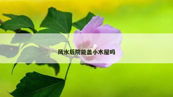 风水后院能盖小木屋吗