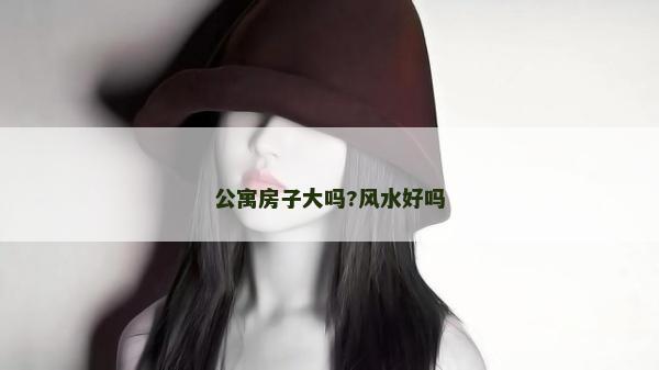 公寓房子大吗?风水好吗