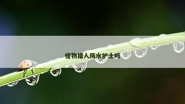 怪物猎人风水护士吗
