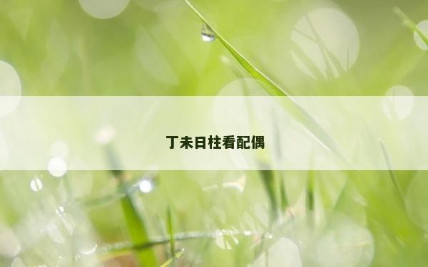 丁未日柱看配偶