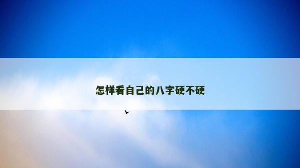怎样看自己的八字硬不硬