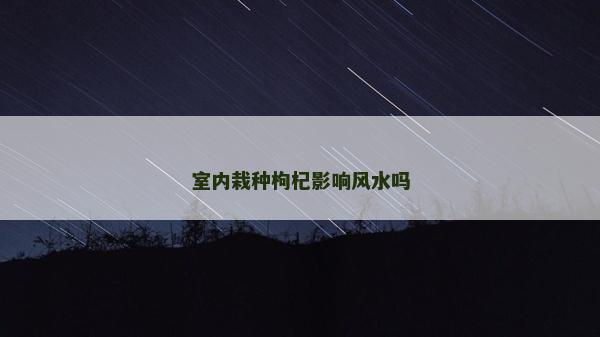 室内栽种枸杞影响风水吗