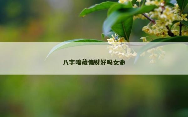 八字暗藏偏财好吗女命