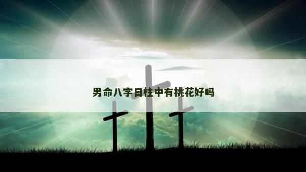 男命八字日柱中有桃花好吗