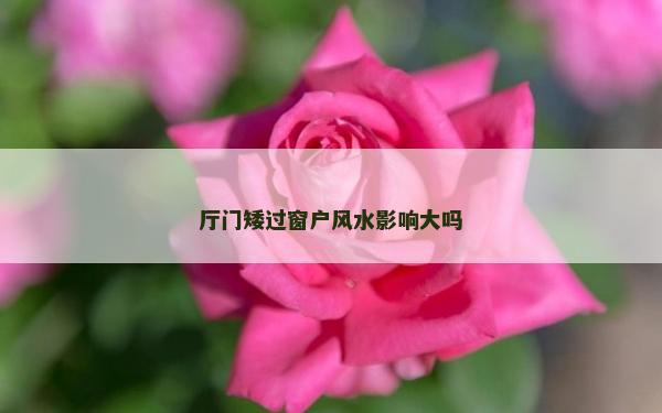 厅门矮过窗户风水影响大吗