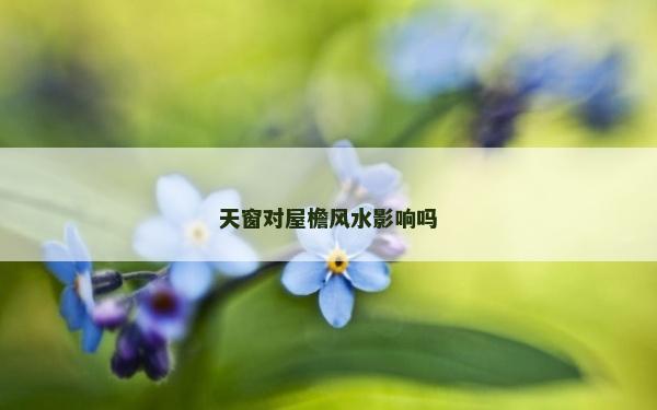 天窗对屋檐风水影响吗