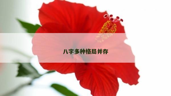 八字多种格局并存