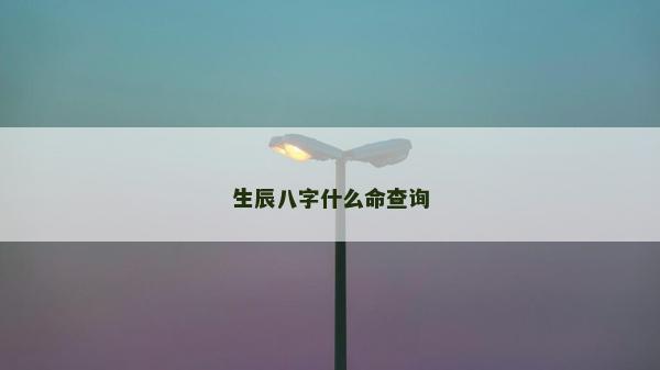 生辰八字什么命查询