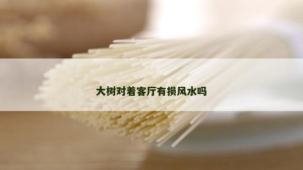 大树对着客厅有损风水吗