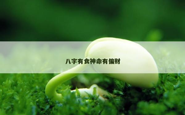 八字有食神命有偏财