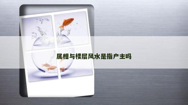 属相与楼层风水是指户主吗