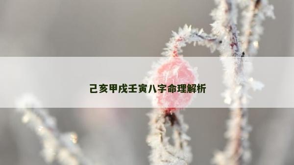己亥甲戌壬寅八字命理解析