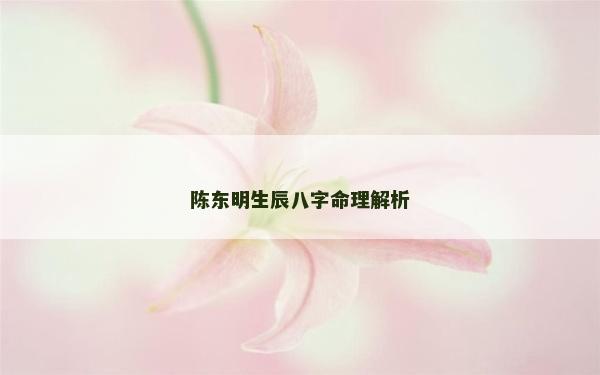 陈东明生辰八字命理解析