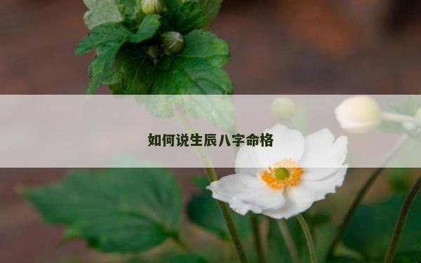 如何说生辰八字命格
