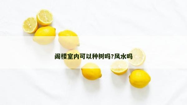阁楼室内可以种树吗?风水吗