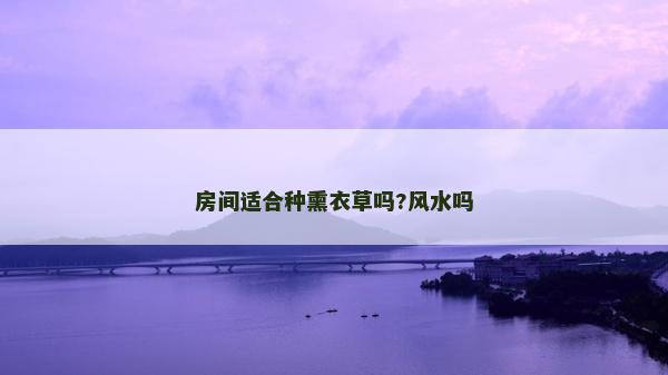 房间适合种熏衣草吗?风水吗