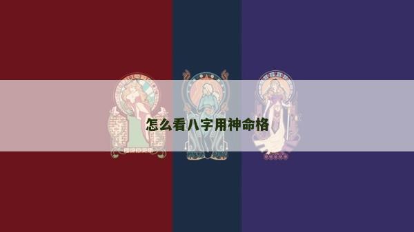 怎么看八字用神命格