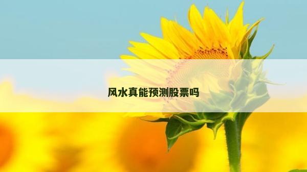 风水真能预测股票吗