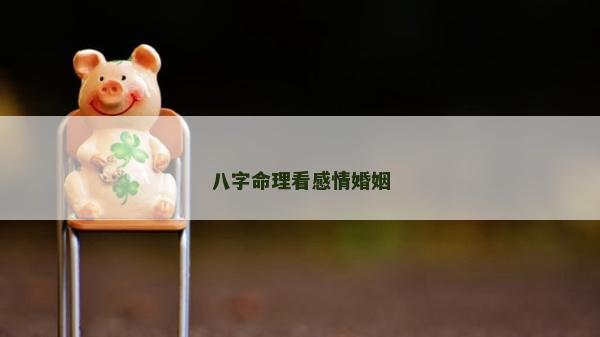 八字命理看感情婚姻