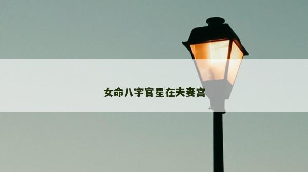 女命八字官星在夫妻宫