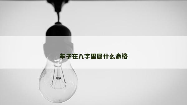 车子在八字里属什么命格