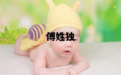 傅姓独特优美的女孩名字