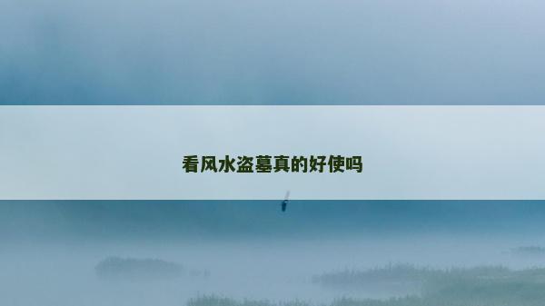 看风水盗墓真的好使吗