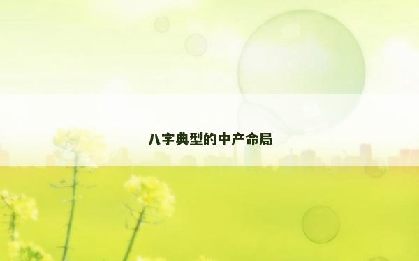 八字典型的中产命局